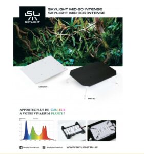 SKYLIGHT MID-30 INTENSE set x2