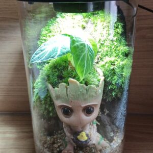 Terrarium BioArt Cylinder 285 Noir – Thème Groot
