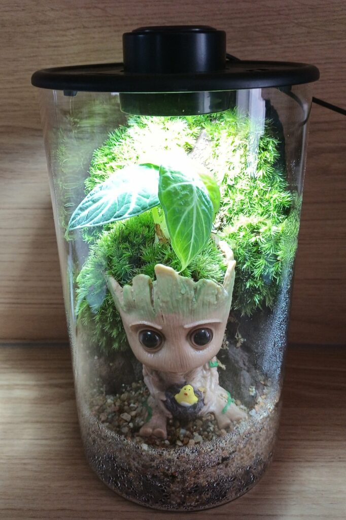 Terrarium BioArt Cylinder 285 Noir – Thème Groot