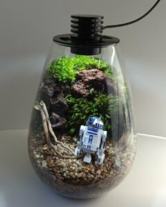 Baiosphere Mini Noir – Thème R2-D2 en Forêt
