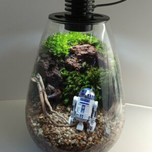 Baiosphere Mini Noir – Thème R2-D2 en Forêt