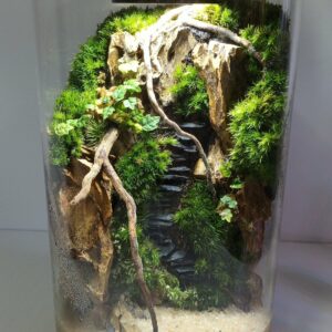 Terrarium BioArt Cylinder 285 Noir – Thème Mini Monde Tropical