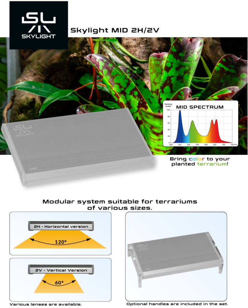 SKYLIGHT MID 2V (set 3 spots)